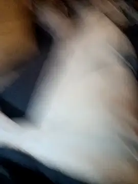 ySqmbVanbe online show from 11/11/25, 07:14