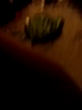 ySqmbVanbe online show from 02/16/26, 01:35