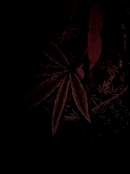 ySqmbVanbe online show from 02/17/26, 04:42