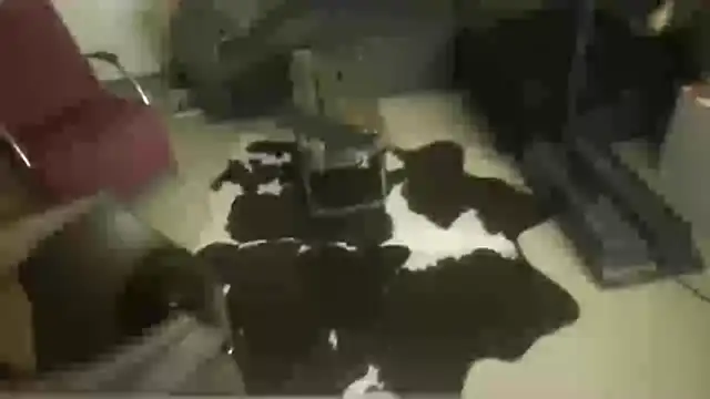 oopsxx online show from 12/22/25, 01:57