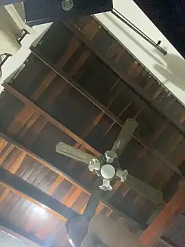 tom thick online show from 12/20/24, 09:54