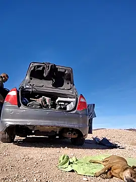 FloppyPickle4u online show from 02/15/25, 09:37