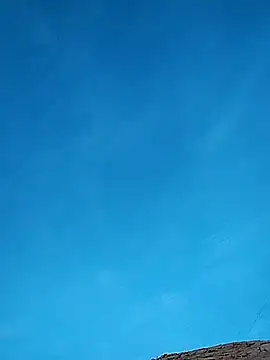 FloppyPickle4u online show from 02/17/25, 01:15