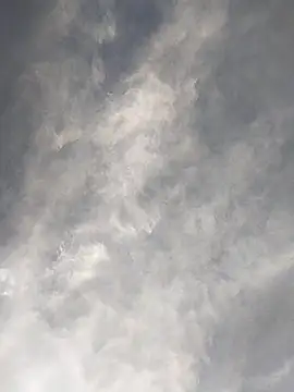 FloppyPickle4u online show from 02/17/25, 11:42