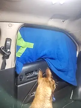 FloppyPickle4u online show from 02/18/25, 05:31