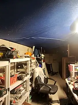 FloppyPickle4u online show from 02/25/25, 05:41