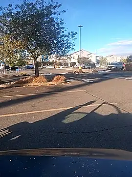 FloppyPickle4u online show from 09/09/25, 03:11