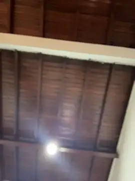 emiss  online show from 12/02/25, 03:51