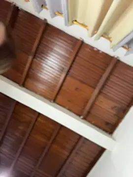 emiss  online show from 03/05/26, 02:24