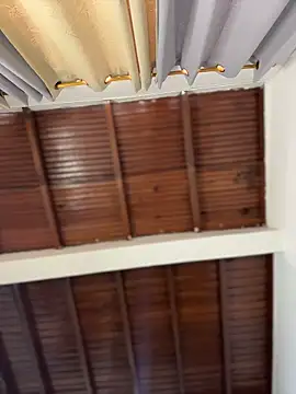 emiss  online show from 03/15/26, 06:25