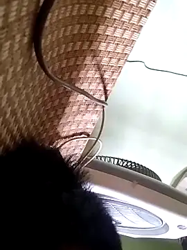 idocudai online show from 04/03/26, 05:27