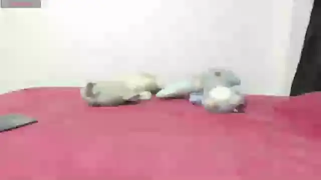 Mayte sexy online show from 02/21/25, 12:16