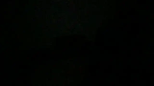 JunkieShitPig online show from 11/19/25, 08:36