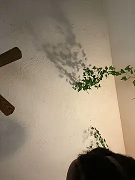 magicalc00ch online show from 01/25/25, 12:48