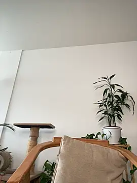 6nalanie online show from 05/17/26, 08:16