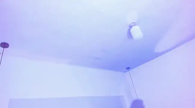 Emily Gil1 online show from 03/19/25, 08:00