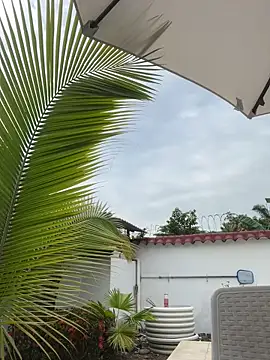 Ema azel online show from 02/16/25, 02:00