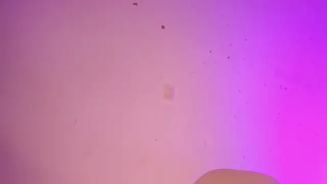 Tahira 21  online show from 01/22/25, 10:37