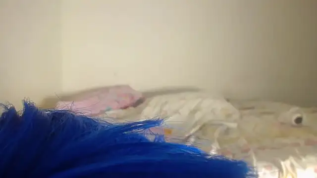 Snapshot of barbara_anal_squirt_ chatting on 05/16/26, 12:29 barbara anal squirt online show from 05/16/26, 12:29