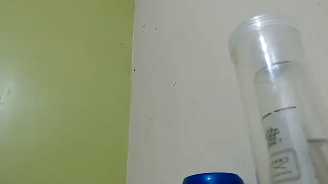 richelybigcock online show from 02/21/25, 02:28