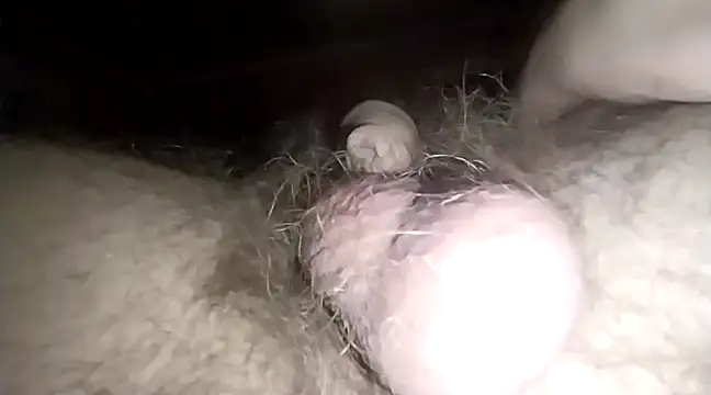 Snapshot of 420getsmehorny chatting on 12/02/24, 01:58 420getsmehorny online show from 12/02/24, 01:58