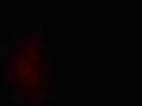 Snapshot of L0cKyseven77 chatting on 02/01/25, 10:48 L0cKyseven77 online show from 02/01/25, 10:48