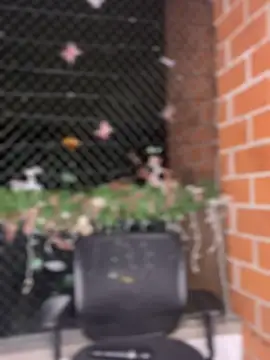 ValerieHilton online show from 01/12/25, 12:18