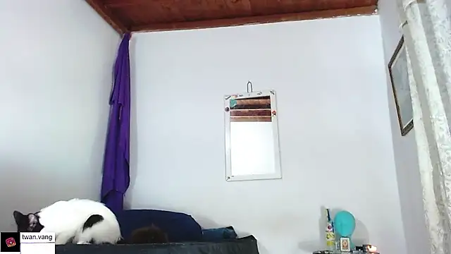 Trix fiore oficial online show from 01/14/26, 03:01