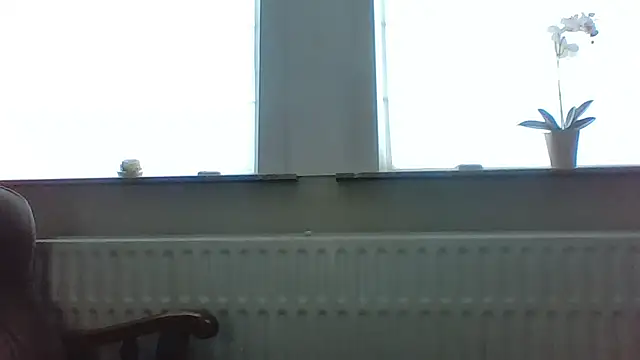 Snapshot of bertolini chatting on 05/13/26, 04:59 bertolini online show from 05/13/26, 04:59