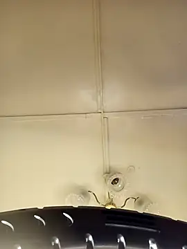    Midnight    online show from 03/15/26, 02:06