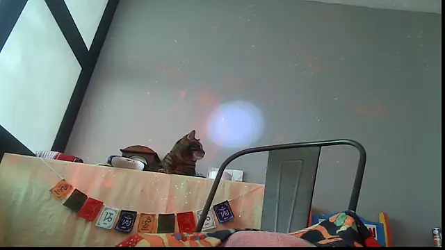 SexWorkerX online show from 02/24/26, 06:50