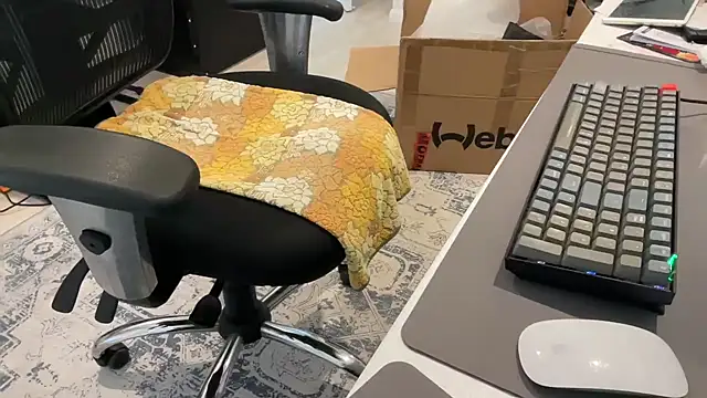 ProstatePleasures1 online show from 12/09/24, 01:40