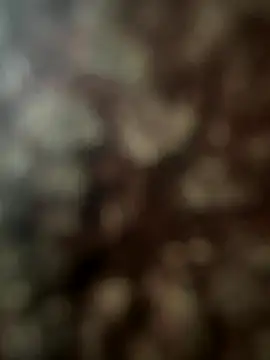 FrutenFratenR9 online show from 11/11/25, 11:21