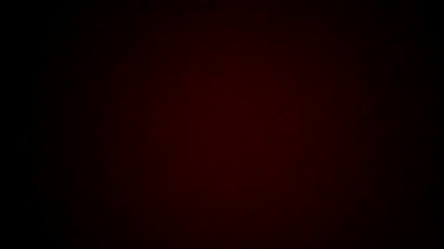 Daszler online show from 01/17/25, 07:16