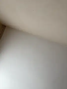 rpotktkkt online show from 11/20/25, 09:42