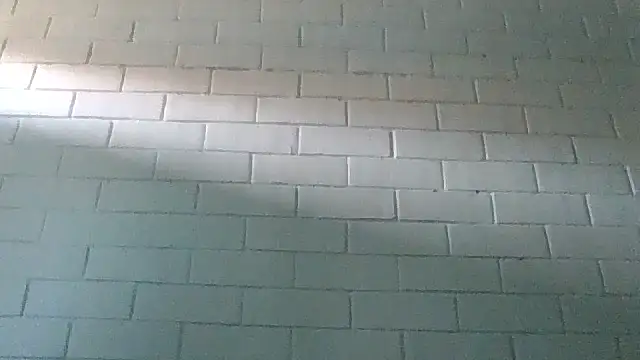 GiveLove1 online show from 02/19/25, 09:36