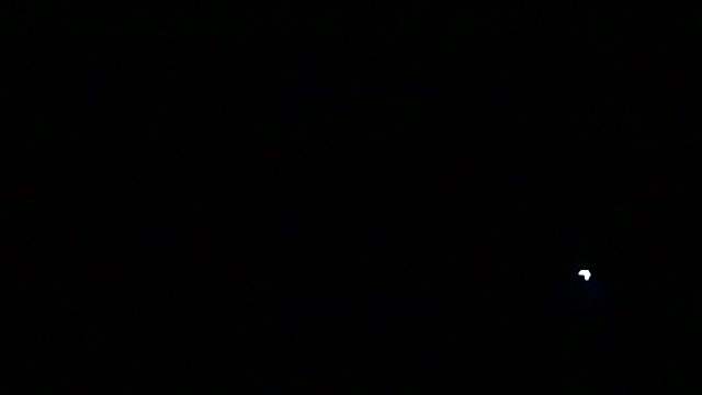 markluvskitty online show from 03/13/26, 02:29