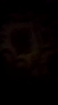 WreckedCrop online show from 03/02/25, 08:29