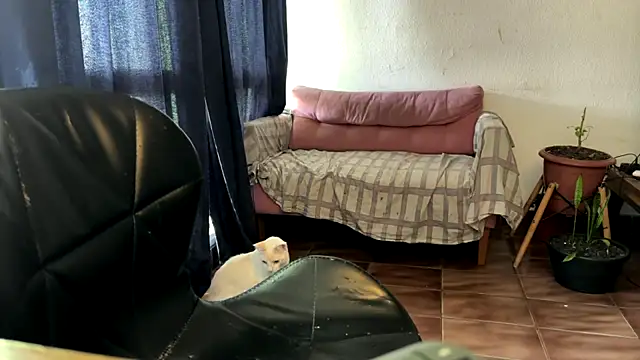 gerson173Hugo online show from 01/07/26, 12:18