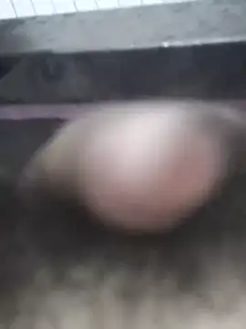 parozamzam online show from 03/14/26, 08:20