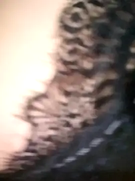 Snapshot of tahra-19 chatting on 12/17/24, 04:21 tahra-19 online show from 12/17/24, 04:21