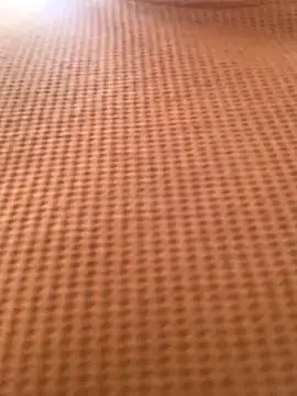 MarkGray  online show from 12/15/25, 08:46