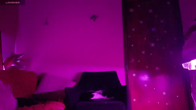 maryberry   online show from 04/18/26, 04:38