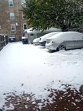 AmazonianMistress online show from 11/10/25, 07:35