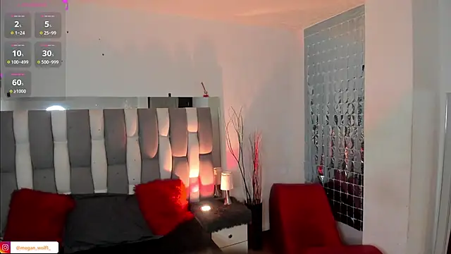 Megan wolf1  online show from 01/08/25, 10:48