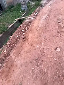 Black-mamba-madingo online show from 09/10/25, 05:35