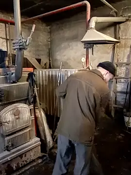 MityaXLoves online show from 01/07/26, 06:38