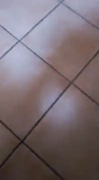 ZorraidaGiroNina online show from 02/03/25, 04:10