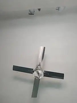 nicedick bro online show from 10/06/25, 06:38