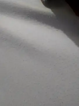  Miaaleon online show from 11/16/25, 10:43